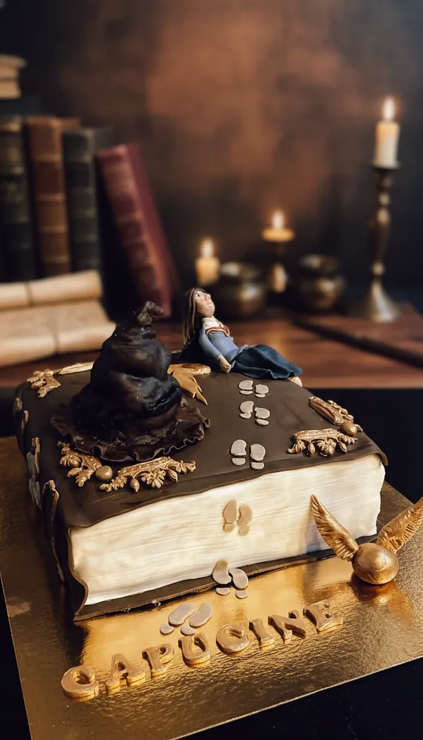 Harry Potter Book