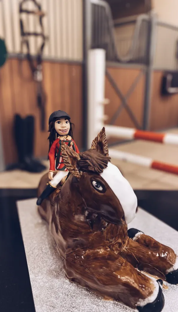 Cheval et cavalière